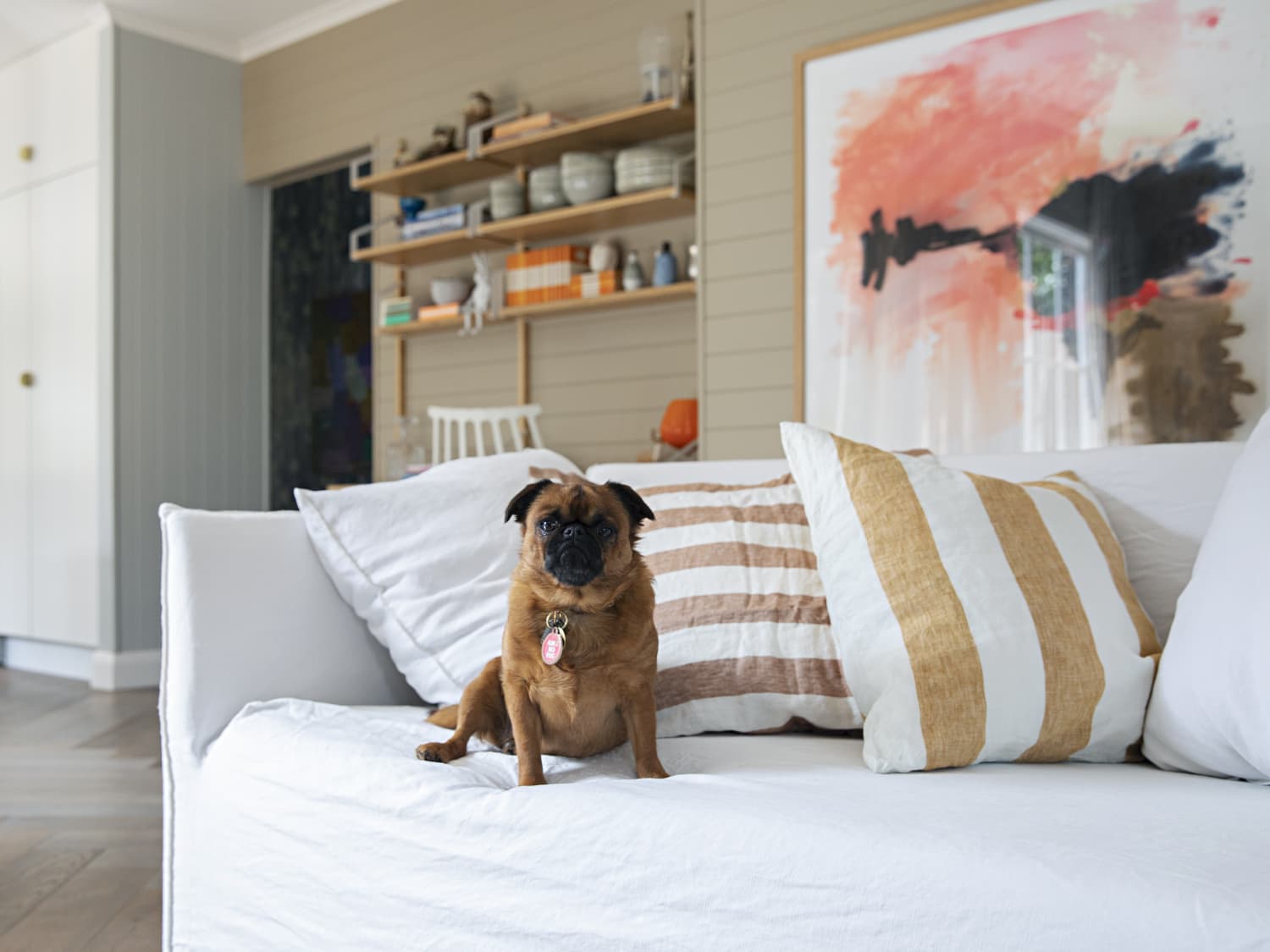 Dog friendly living room furniture online